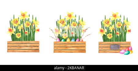 Ostern Set Narzissen Bouquet in Holzkiste gefärbte Eier auf weißem Hintergrund isoliert. Aquarell Handzeichnung Illustration. Kunst für Dekoration, Design, Stockfoto