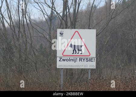 Ein Schild „Slow down! Luchse!“ Gesehen im Bieszczady Nationalpark. Am Sonntag, 17. November 2019, in Ustrzyki Dolne, Woiwodschaft Podkarpackie, Polen. (Foto von Artur Widak/NurPhoto) Stockfoto