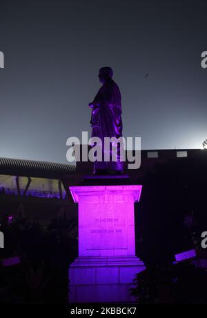 Das Eden Garden Stadion, das Gebäude aus dem Jahr 42, das Tata Center Building und einige Statuen, sind mit rosa Lichtern dekoriert. Es ist das erste Tag-Nacht-Test-Cricket-Spiel zwischen Indien und Bangladesch mit Pink Ball, das ab heute im Eden Garden Stadium in Kalkutta, Indien, am 22. November 2019 beginnt. (Foto von Indranil Aditya/NurPhoto) Stockfoto