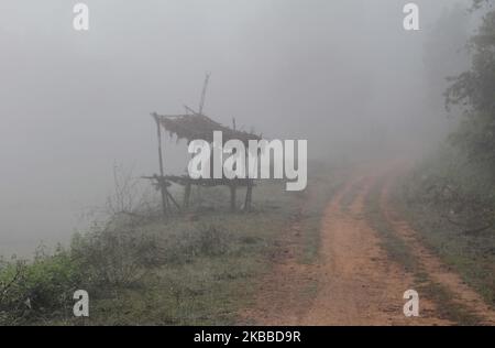 Nebel umhüllte sich in der Hills Station Road bei Belghar im Kandhamal Bezirk, als die Wintersaison beginnt, 220 km entfernt von der östlichen indischen Bundesstaat Odisha Hauptstadt Bhubaneswar. Kandhamal ist der kälteste Ort in Ostindien und jedes Jahr Temperetur mit Minusgraden. (Foto von STR/NurPhoto) Stockfoto