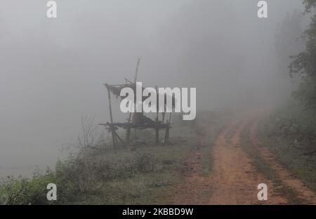 Nebel umhüllte sich in der Hills Station Road bei Belghar im Kandhamal Bezirk, als die Wintersaison beginnt, 220 km entfernt von der östlichen indischen Bundesstaat Odisha Hauptstadt Bhubaneswar. Kandhamal ist der kälteste Ort in Ostindien und jedes Jahr Temperetur mit Minusgraden. (Foto von STR/NurPhoto) Stockfoto