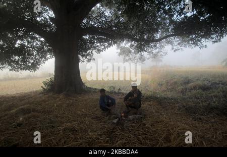 Nebel umhüllte sich in der Hills Station Road bei Belghar im Kandhamal Bezirk, als die Wintersaison beginnt, 220 km entfernt von der östlichen indischen Bundesstaat Odisha Hauptstadt Bhubaneswar. Kandhamal ist der kälteste Ort in Ostindien und jedes Jahr Temperetur mit Minusgraden. (Foto von STR/NurPhoto) Stockfoto