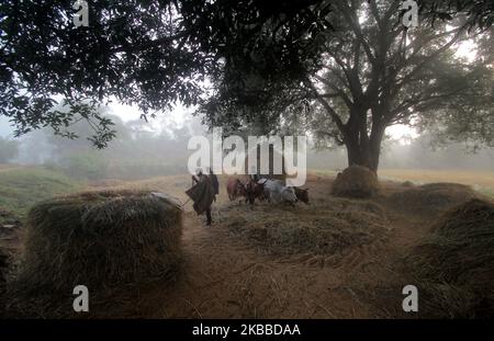 Nebel umhüllte sich in der Hills Station Road bei Belghar im Kandhamal Bezirk, als die Wintersaison beginnt, 220 km entfernt von der östlichen indischen Bundesstaat Odisha Hauptstadt Bhubaneswar. Kandhamal ist der kälteste Ort in Ostindien und jedes Jahr Temperetur mit Minusgraden. (Foto von STR/NurPhoto) Stockfoto