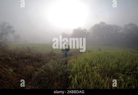 Nebel umhüllte sich in der Hills Station Road bei Belghar im Kandhamal Bezirk, als die Wintersaison beginnt, 220 km entfernt von der östlichen indischen Bundesstaat Odisha Hauptstadt Bhubaneswar. Kandhamal ist der kälteste Ort in Ostindien und jedes Jahr Temperetur mit Minusgraden. (Foto von STR/NurPhoto) Stockfoto