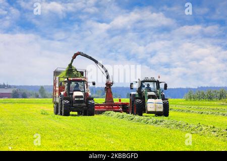 Zwei Traktoren im Feld Ernte Gras mit Futterernter für Milchviehfutter an einem schönen Tag im Juni. Speicherplatz kopieren. Stockfoto