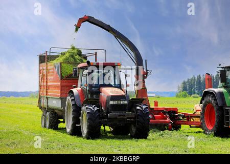 Zwei Traktoren im Feld Ernte Gras mit Futterernter für Milchviehfutter an einem schönen Tag im Juni. Stockfoto