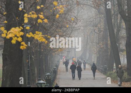 Ein Blick auf den Planty Park in Krakau, während eines Smog-Alarms und eines starken Nebels am 27. November, mit dem Luftqualitätsindex (AQI) für PM2,5 über 150. Am Mittwoch, den 27. November 2019, in Krakau, Woiwodschaft Kleinpolen, Polen. (Foto von Artur Widak/NurPhoto) Stockfoto