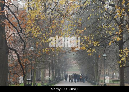 Ein Blick auf den Planty Park in Krakau, während eines Smog-Alarms und eines starken Nebels am 27. November, mit dem Luftqualitätsindex (AQI) für PM2,5 über 150. Am Mittwoch, den 27. November 2019, in Krakau, Woiwodschaft Kleinpolen, Polen. (Foto von Artur Widak/NurPhoto) Stockfoto