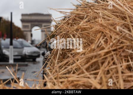 Rund hundert Bauern gossen Stroh auf die Champs-Elysées, bevor sie am Mittwoch, den 27. November 2019, von der Polizei umzingelt wurden. Auf Initiative der Landwirtschaftsgewerkschaften FNSEA und der Jeunes Agriculteurs (ja) übernahmen etwa tausend Traktoren und Bauern die Pariser Ringstraße und organisierten eine Verkehrsblockade, um gegen die Anti-Pestizid-Befehle und das, was sie Agribashing nennen, zu protestieren. Sie besetzten die Peripherie und kurz die Champs-Elysées, während sie darauf warteten, vom zuständigen Minister und einem Vertreter des Elysée empfangen zu werden. (Foto von Samuel Boivin/NurPhoto) Stockfoto