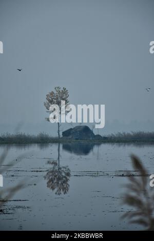 Ein Teil einer alten Brücke steht im Dal Lake, Srinagar, im indischen Kaschmir am 29. November 2019. (Foto von Muzamil Mattoo/NurPhoto) Stockfoto