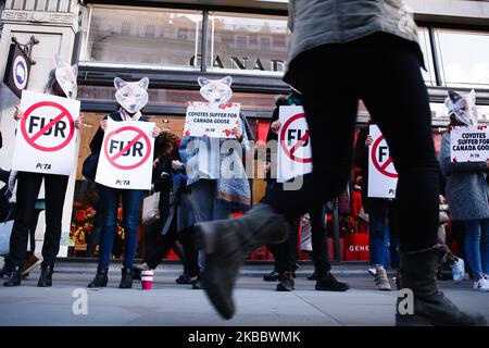 Tierrechtler, die PETA-Plakate halten, demonstrieren am 29. November 2019 gegen die Verwendung von echtem Fell durch den Bekleidungshändler Canada Goose vor dem Geschäft des Unternehmens in der Regent Street in London, England. (Foto von David Cliff/NurPhoto) Stockfoto