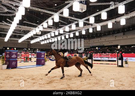 Eine Teilnehmerin auf ihrem Pferd während der Madrid Horse Week CSI5 in Ifema Madrid 29. November 2019 Spanien. Eine 3-tägige Veranstaltung mit Wettbewerben, Shows und Ausstellungen. (Foto von Oscar Gonzalez/NurPhoto) Stockfoto