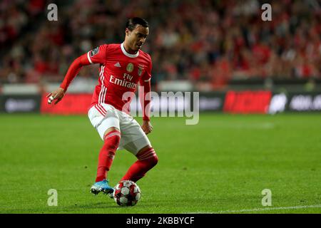 Raul de Tomas von SL Benfica in Aktion beim Fußballspiel der Portugiesischen Liga zwischen SL Benfica und CS Maritimo am 30. November 2019 im Luz-Stadion in Lissabon, Portugal. (Foto von Pedro FiÃºza/NurPhoto) Stockfoto