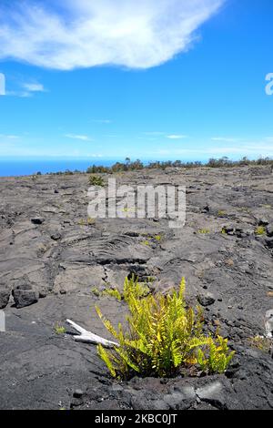 Die malerischen dampfenden Krater und Lavaströme rund um den Aussichtspunkt Mauna Ulu, den Hawaiʻi Volcanoes National Park auf Big Island HI Stockfoto