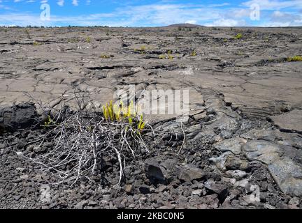 Die malerischen dampfenden Krater und Lavaströme rund um den Aussichtspunkt Mauna Ulu, den Hawaiʻi Volcanoes National Park auf Big Island HI Stockfoto