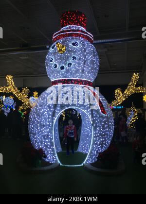 Christmas Glow Festival in Toronto, Ontario, Kanada, am 30. November 2019. Christmas Glow ist Ontarios größtes Weihnachtsfest für Familien, bei dem bis zu 100.000 Besucher unter dem Funkeln von einer halben Million Lichtern lachen und spielen werden. (Foto von Creative Touch Imaging Ltd./NurPhoto) Stockfoto