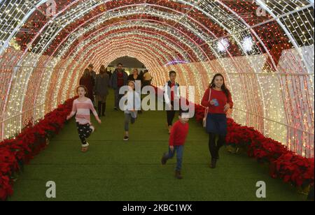 Christmas Glow Festival in Toronto, Ontario, Kanada, am 30. November 2019. Christmas Glow ist Ontarios größtes Weihnachtsfest für Familien, bei dem bis zu 100.000 Besucher unter dem Funkeln von einer halben Million Lichtern lachen und spielen werden. (Foto von Creative Touch Imaging Ltd./NurPhoto) Stockfoto