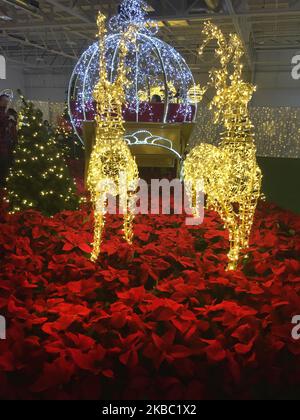 Christmas Glow Festival in Toronto, Ontario, Kanada, am 30. November 2019. Christmas Glow ist Ontarios größtes Weihnachtsfest für Familien, bei dem bis zu 100.000 Besucher unter dem Funkeln von einer halben Million Lichtern lachen und spielen werden. (Foto von Creative Touch Imaging Ltd./NurPhoto) Stockfoto
