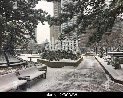 Am 06. Dezember 2019 traf ein massiver Schneesturm in Toronto, Ontario, Kanada. Der Sturm ließ 10 Zentimeter Schnee über den Großraum Toronto fallen und verursachte zahlreiche Fahrzeugunfälle in der Stadt während des morgendlichen Pendelfluges. (Foto von Creative Touch Imaging Ltd./NurPhoto) Stockfoto
