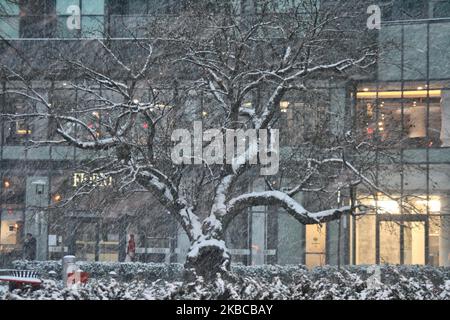 Am 06. Dezember 2019 traf ein massiver Schneesturm in Toronto, Ontario, Kanada. Der Sturm ließ 10 Zentimeter Schnee über den Großraum Toronto fallen und verursachte zahlreiche Fahrzeugunfälle in der Stadt während des morgendlichen Pendelfluges. (Foto von Creative Touch Imaging Ltd./NurPhoto) Stockfoto