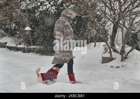 Frau geht mit ihrem Hund, als am 06. Dezember 2019 ein massiver Schneesturm Toronto, Ontario, Kanada, heimgesucht hat. Der Sturm ließ 10 Zentimeter Schnee über den Großraum Toronto fallen und verursachte zahlreiche Fahrzeugunfälle in der Stadt während des morgendlichen Pendelfluges. (Foto von Creative Touch Imaging Ltd./NurPhoto) Stockfoto