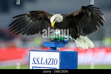 Latiums Adler-Maskottchen Olimpia während des Serie A-Spiels SS Lazio gegen FC Juventus im Olimpico-Stadion in Rom, Italien am 7. Dezember 2019 (Foto: Matteo Ciambelli/NurPhoto) Stockfoto