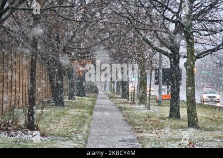 Am 14. Dezember 2019 bedeckte nasser Schnee die Stadt Toronto, Ontario, Kanada. Der Sturm brachte Regen und nassen Schnee über den Großraum Toronto und ließ zwischen 3-5 cm Schnee auf dem Boden liegen. (Foto von Creative Touch Imaging Ltd./NurPhoto) Stockfoto