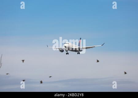 Delta Air Lines Airbus A220-100-Flugzeuge, gesehen bei der endgültigen Landung mit Landeanflug auf dem John F. Kennedy International Airport in New York am 14. November 2019 in New York, USA. Das Flugzeug hat die Registrierung N121DU, 2x PW-Düsentoiletten. Das in Airbus A220 umbenannte Flugzeug war Bombardier CS100, BD-500-1A10. Delta Air Lines DL Delta ist die größte Fluggesellschaft der Welt mit einem Drehkreuz in New York-JFK. (Foto von Nicolas Economou/NurPhoto) Stockfoto