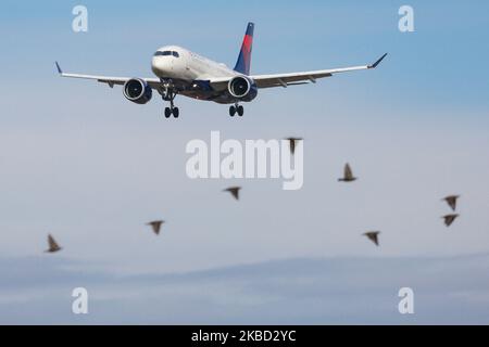 Delta Air Lines Airbus A220-100-Flugzeuge, gesehen bei der endgültigen Landung mit Landeanflug auf dem John F. Kennedy International Airport in New York am 14. November 2019 in New York, USA. Das Flugzeug hat die Registrierung N121DU, 2x PW-Düsentoiletten. Das in Airbus A220 umbenannte Flugzeug war Bombardier CS100, BD-500-1A10. Delta Air Lines DL Delta ist die größte Fluggesellschaft der Welt mit einem Drehkreuz in New York-JFK. (Foto von Nicolas Economou/NurPhoto) Stockfoto