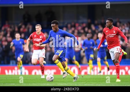 Callum Hudson-Odoi (20) aus Chelsea während des FA Cup-Spiels zwischen Chelsea und Nottingham Forest am Sonntag, dem 5.. Januar 2020 in Stamford Bridge, London. (Foto von Jon Hobley/MI News/NurPhoto) Stockfoto