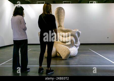 Werkdetails von Tony Cragg, der am 4. Januar 2020 das brasilianische Museum für Skulpturen und Ökologie in Sao Paulo, Brasilien, besetzt. Tony Cragg, ein britischer Künstler mit Wohnsitz in Deutschland und einer der bedeutendsten Bildhauer der Welt heute, ist einer der seltenen Künstler, der mit einer Vielzahl von Materialien arbeitet und mit allen vertraut ist. Neben Zeichnungen zeigt die im MuBE präsentierte Schau Skulpturen aus Holz, Bronze, Stahl, Stein, Aluminium und Glas. Seine Produktion offenbart eine intime Beziehung zwischen den ausgewählten Materialien und der endgültigen Erscheinung jedes Stücks, obwohl einige str Stockfoto