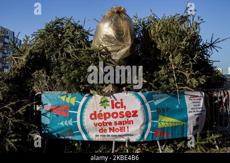 Saint-Ouen, Frankreich, 6. Januar 2020. Einer der Sammelpunkte für Weihnachtsbäume in der Stadt Saint-Ouen. Die gesammelten Bäume werden zu Kompost. Saint-Ouen, Frankreich, den 6. Januar 2020. Und die Punkte, die von den Sapins de noel de la ville de Saint-Ouen gesammelt wurden. Les arbres collectes sont transformes en compost. (Foto von Emeric Fohlen/NurPhoto) (Foto von Emeric Fohlen/NurPhoto) Stockfoto