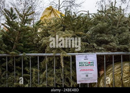 Paris, Frankreich, 7. Januar 2020. Ein Weihnachtsbaum Sammelpunkt im 4. Arrondissement. Die Operation „Recycle Our Christmas Trees“ ermöglicht es den Pariser, ihre Weihnachtsbäume nach den Feiertagen an den Sammelstellen der Stadt Paris in Parks und Gärten abzulegen. Paris, Frankreich, den 7. Januar 2020. UN Point de collecte de sapin de noel dans le 4eme Arrondissement. L’Operation 'Recyclons nos sapins' permet aux Parisiens de depositer leur sapin apres les fetes dans les Points de collecte prevus par la Ville de Paris dans les parcs et les jardins. (Foto von Emeric Fohlen/NurPhoto) Stockfoto