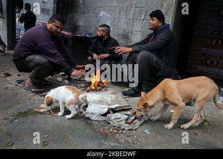 Ein palästinensischer Arbeiter füttert einen Hund, während er und seine Kameraden sich am 13. Januar 2020 bei einem Brand in Gaza-Stadt erwärmen. (Foto von Majdi Fathi/NurPhoto) Stockfoto