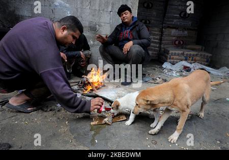 Ein palästinensischer Arbeiter füttert einen Hund, während er und seine Kameraden sich am 13. Januar 2020 bei einem Brand in Gaza-Stadt erwärmen. (Foto von Majdi Fathi/NurPhoto) Stockfoto