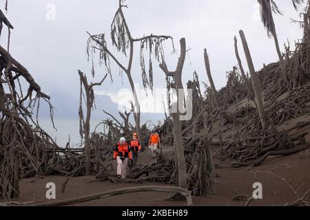 Rettungskräfte suchen am 14. Januar 2020 nach überlebenden Tieren, die von Bewohnern der Insel des Vulkans Taal in der Provinz Batangas, südlich von Manila, zurückgelassen wurden. Die Menschen, die am Fuße des Vulkans lebten, wurden evakuiert, als der Vulkan am Nachmittag des 12. Januar ausbrach und bis zu 14 Kilometer Asche in die Luft spieß. (Foto von George Calvelo/NurPhoto) Stockfoto