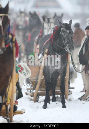 Teilnehmer bei einer Parade der Ausgabe 2020 des Wettbewerbs Poronin Kumoterki (traditionelles Wagenrennen). Am Sonntag, 19. Januar 2019, in Male Ciche Lichajowki, Poronin, Polen. (Foto von Artur Widak/NurPhoto) Stockfoto