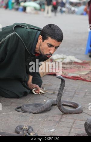 Schlangenbeschwörer unterhält am 5. Januar 2016 eine kleine Menschenmenge auf dem Platz Jemaa el-Fnaa in der Medina (Altstadt) von Marrakesch (Marrakesch) in Marokko, Afrika. Marrakesch ist die viertgrößte Stadt im Königreich Marokko. (Foto von Creative Touch Imaging Ltd./NurPhoto) Stockfoto