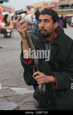 Schlangenbeschwörer hält eine Kobra, während er am 5. Januar 2016 eine kleine Menge auf dem Platz Jemaa el-Fnaa in der Medina (Altstadt) von Marrakesch (Marrakesch) in Marokko, Afrika, unterhält. Marrakesch ist die viertgrößte Stadt im Königreich Marokko. (Foto von Creative Touch Imaging Ltd./NurPhoto) Stockfoto