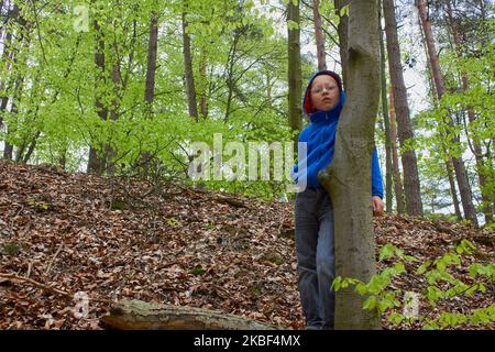 Porträt eines kleinen Jungen, der hinter einem Baum in einem Wald guckt. Stockfoto