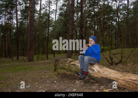Ein kleiner Junge allein im Wald, der auf einem alten Baum sitzt und Schokolade isst Stockfoto
