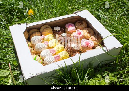 Federkachtel mit Keksen, die auf dem Gras liegen Stockfoto