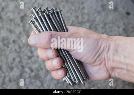 Halten Sie in der Hand Haufen von Metallnägeln für die Arbeit Stockfoto