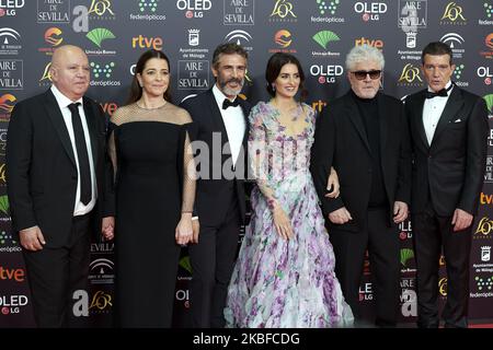 Agustin Almodovar, Nora Navas, Leonardo Sbaraglia, Penelope Cruz, Pedro Almodovar, Antonio Banderas nimmt am 25. Januar 34. 2020 an den „Goya“ Cinema Awards 2020 des Roten Teppichs im Sportpalast Jose Maria Martin Carpena in Malaga, Spanien Teil (Foto: Carlos Dafonte/NurPhoto) Stockfoto