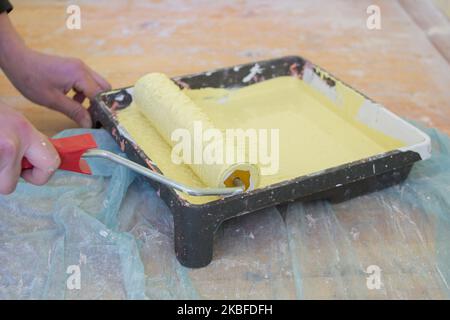 Malerei der Wohnung mit gelben Farbtablett und Roller-Werkzeug Stockfoto