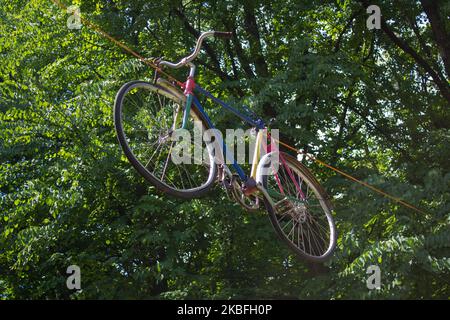 Fahrrad hängt an einer Holzsäule im Wald. Road schnelles Fahrrad auf dem Baum geparkt. Stockfoto