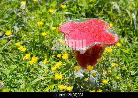 Erdbeeren in einem Glas zerdrückt, das auf dem Gras steht Stockfoto