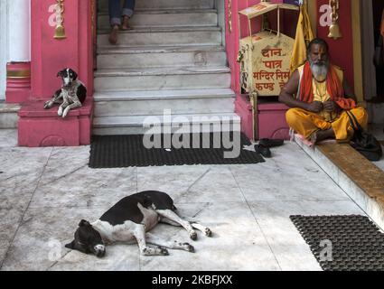 Straßenhunde, die am 5. April 2018 vor dem Tempel in Chandni Chowk, Delhi, Indien, schlafen. Sadhu (heiliger Mann) sah rechts meditieren. (Foto von Krystof Kriz/NurPhoto) Stockfoto