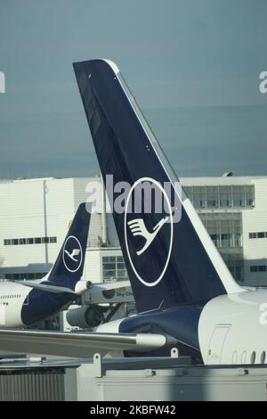 Flugzeugschwänze mit der neuen Lufthansa-Lackierung und dem Logo auf dem vertikalen Stabilisator ist das linke Flugzeug ein Airbus A340 mit 4 Triebwerken. Am frühen Morgen Flugverkehr Bewegung von Lufthansa-Flugzeugen mit ihrem Logo auf der Asphalt sichtbar und angedockt über Jetbridge oder Luftbrücke am Terminal am internationalen Flughafen München MUC EDDM in Bayern, Deutschland, Flughafen München. Die Deutsche Lufthansa DLH LH ist die Flaggonfluggesellschaft und größte Airline in Deutschland, die München als einen ihrer beiden Drehkreuze nutzt. Lufthansa ist Mitglied der Luftfahrtallianz Star Alliance. 26. Januar 2020 (Foto: Nicolas Economou/Nu Stockfoto