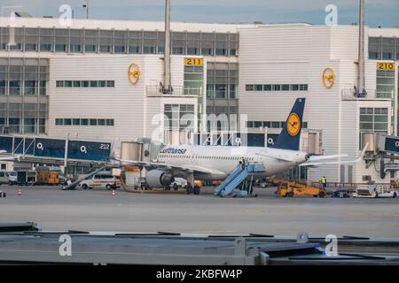 Ein Airbus A320 der Lufthansa, wie gesehen, dockte am Flugsteig 212 am Flughafen München an. Am frühen Morgen Flugverkehr Bewegung von Lufthansa-Flugzeugen mit ihrem Logo auf der Asphalt sichtbar und angedockt über Jetbridge oder Luftbrücke am Terminal am internationalen Flughafen München MUC EDDM in Bayern, Deutschland, Flughafen München. Die Deutsche Lufthansa DLH LH ist die Flaggonfluggesellschaft und größte Airline in Deutschland, die München als einen ihrer beiden Drehkreuze nutzt. Lufthansa ist Mitglied der Luftfahrtallianz Star Alliance. 26. Januar 2020 (Foto von Nicolas Economou/NurPhoto) Stockfoto